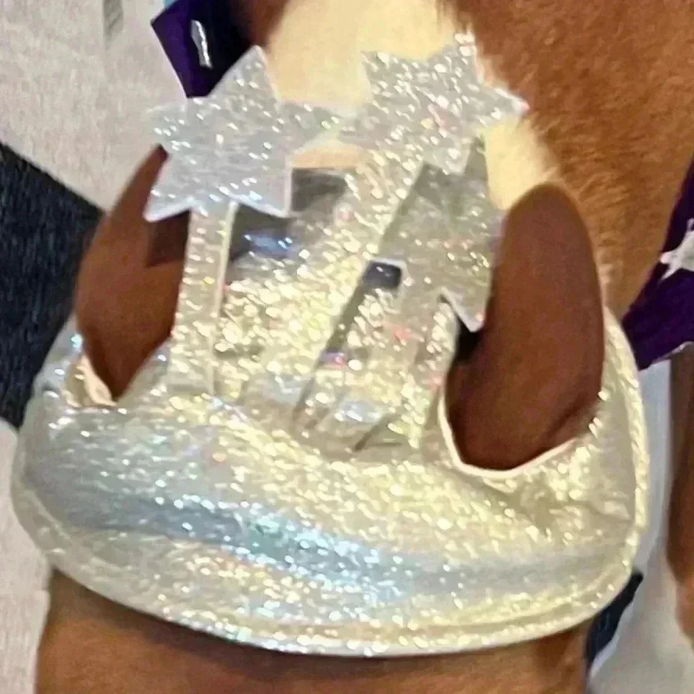 Frisco Shooting Star-Pegasus Dog or Cat 2 piece costume 💫
